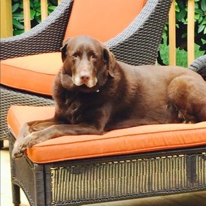 Meet your Posher, Cheryl